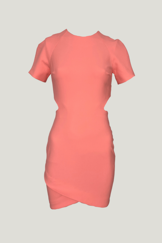 Elizabeth and James Skylyn Cutout Stretch Mini Dress