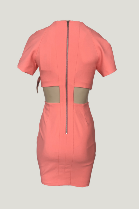 Elizabeth and James Skylyn Cutout Stretch Mini Dress